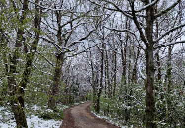 Trail Walking Reventin-Vaugris - marche de APF - Photo
