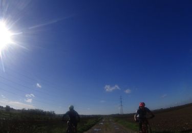 Tocht Mountainbike Fleurus - les fleche de fleurus - Photo