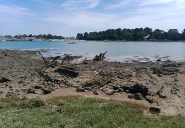Trail Walking Pont-l'Abbé - PONT L'ABBÉ / L'ILE-TUDY / LOCTUDY  - Photo