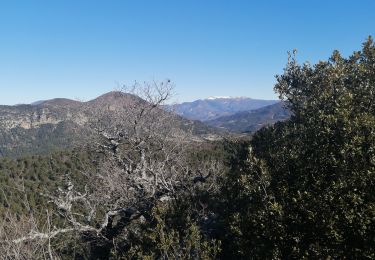 Trail Walking Piégon - piegon - Photo