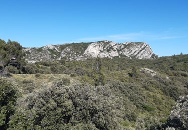 Trail Walking Eygalières - Petit et Gros Calan - Photo