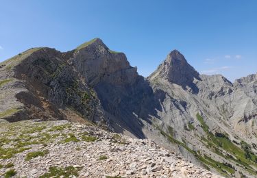 Tocht Stappen Saint-Julien-en-Beauchêne - les 4 cols : Lus la Croix Haute - Photo