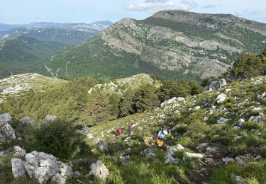 Trail Walking Saint-Vallier-de-Thiey - St Vallier : Colle du  maçon doublier  - Photo