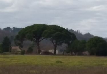 Percorso Marcia Gaillac - Sainte Cėcile d'Aves - Photo