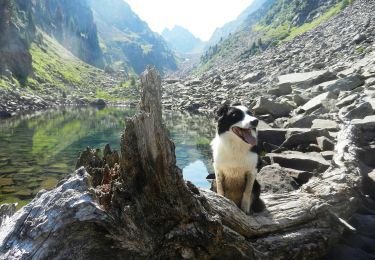 Trail On foot Canal San Bovo - IT-E336 - Photo