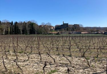 Trail Walking Montbazin - Montbazin - La Moure - Photo