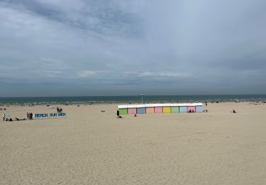 Trail Walking Berck - Berck - baie d’Authie - Photo