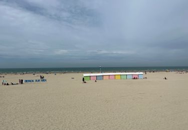 Tocht Stappen Berck - Berck - baie d’Authie - Photo