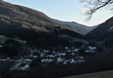 Percorso A piedi Gemeinde Kleinzell - Landstal (Hainfeld) - Schönleiten - Salzerbad - Photo