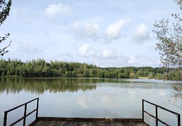 Tour Wandern Zutendaal - Promenade de Papendaalheide - Photo