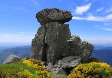 Tour Wandern Laboule - 2022-02-01_16h06m31_Laboule Le Méjean 15km .gpx.xml - Photo