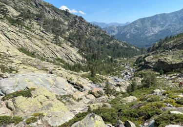 Randonnée Marche Asco - Asco la bergerie de vallonne - Photo