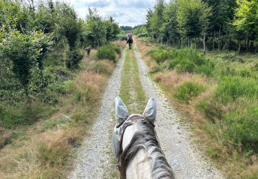 Trail Horseback riding Vielsalm - Mont-le-Soie Boucle orange - Photo