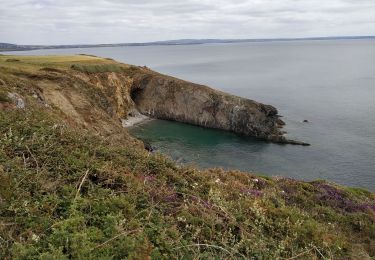 Randonnée Marche Telgruc-sur-Mer - Rostégoff- Trez Bellec 01-07-2019 - Photo