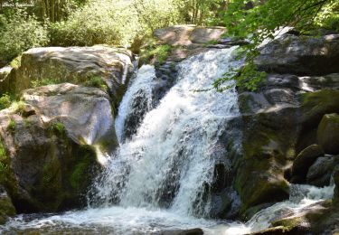 Tocht Stappen Arfeuilles - 2022-06-10_09h22m43_La Cascade de la Pisserote - Photo