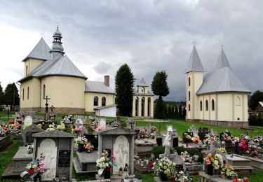 Tour Zu Fuß Polańczyk - Zielone wzgórza nad Soliną - Photo