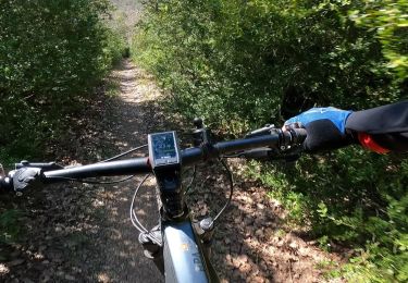 Trail Mountain bike Quinson - Vallon de Mala Soque par la Roquette - Photo
