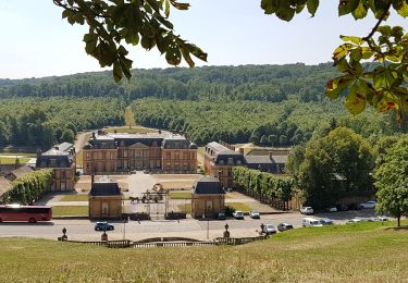 Excursión Senderismo Cernay-la-Ville - Cernay la Ville - St Rémy lès Chevreuse - Photo