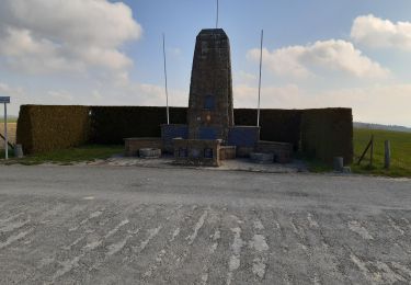 Randonnée Marche Havelange - boffeu plaine sapin - Photo