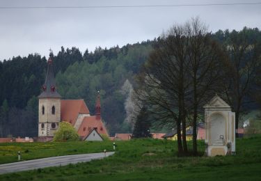 Excursión A pie Chvalšiny - NS Červený Dvůr - Photo