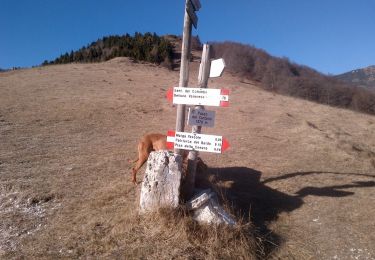 Excursión A pie Brentino Belluno - Belluno Veronese - Passo del Cerbiolo - Photo