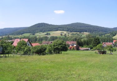 Tocht Te voet Sinntal - Weichersbach - Rote Geiß - Photo