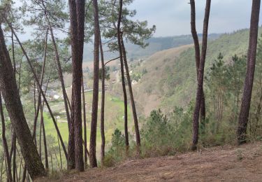 Tour Wandern Saint-Léonard-des-Bois - Saint Léonard des Bois - 30 mars 2022 - Photo