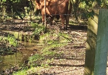 Trail Walking Harfleur - Herfleur - Caucriauville - Rouelles - Photo