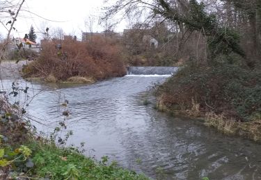 Tour Wandern Boeil-Bezing - boeyRSFait - Photo