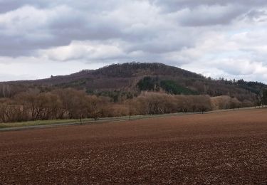 Trail On foot Vroutek - NS Stezka lesů ČR - Photo