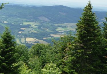 Excursión Bici de montaña Laprugne - Loge des Gardes, Eoliennes, Gué de la Chaux - Photo