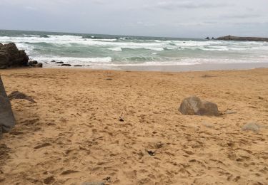 Tocht Stappen Saint-Pierre-Quiberon - Quiberon tour  - Photo