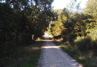 Tocht Stappen Canéjan - lestonnat - Photo