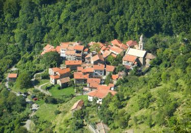 Randonnée A pied Valbrevenna - Tonno - Piancassina - Photo