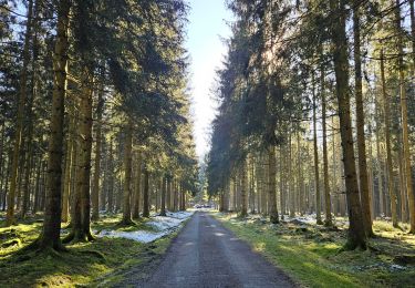 Tocht Stappen Büllingen - A la découverte de Elsenborn 🥾 - Photo