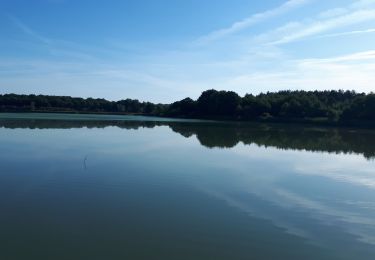 Excursión Senderismo Lassay-sur-Croisne - lassay Dede 08/20 - Photo