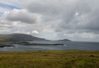 Tocht Te voet Kenmare Municipal District - Bray Head Loop - Photo