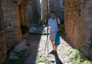 Tour Wandern Faugères - Ribes - Photo