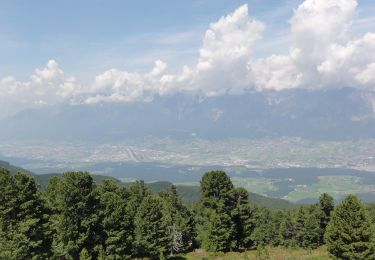 Percorso A piedi Gemeinde Patsch - Zirbenweg - Photo