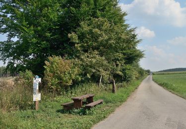 Percorso A piedi Wincrange - Autopédestre Hachiville - Photo