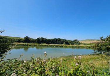 Randonnée Marche Escalles - ⛺️ Les Érables - Cap Blanc-Nez  - Photo