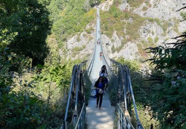 Tour Wandern Treffort - Passerelles Monteynard  - Photo