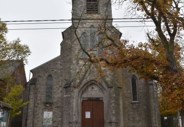 Tour Wandern Fernelmont - 20211116 - TOTEMUS Hingeon 5.3 Km - Photo