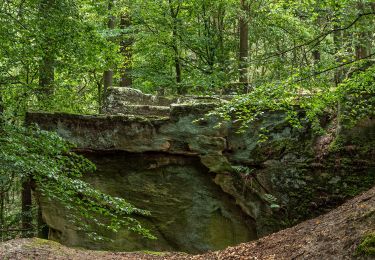 Tour Zu Fuß Untermerzbach - Lauftour UMB2 - Photo