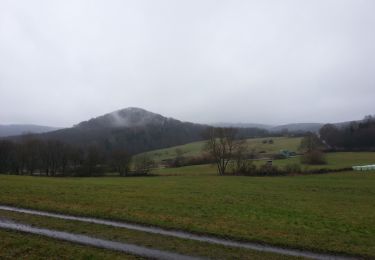 Percorso A piedi Niedenstein - Niedenstein, N3 - Sengelsberg - Photo