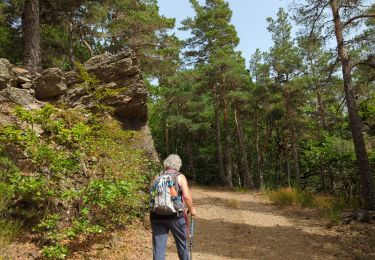 Randonnée Marche Chadenet - La Loubière - Lanuéjols  - Photo