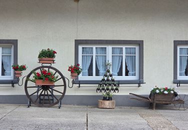 Tour Wandern Park Hosingen - Éislek Pad Hoscheid - Photo