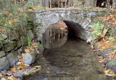 Randonnée A pied Inconnu - Dresdner Heide, Weißiger Weg - Photo