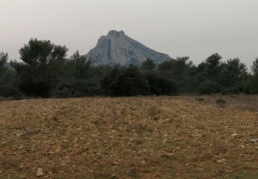 Percorso Marcia Eygalières - Les Alpilles au dessus d'Eygalieres - Photo