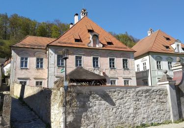 Excursión A pie Breitenbrunn - Wasserbüffelweg - Photo